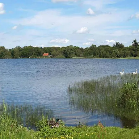 5 Person In Ansager-by Traum