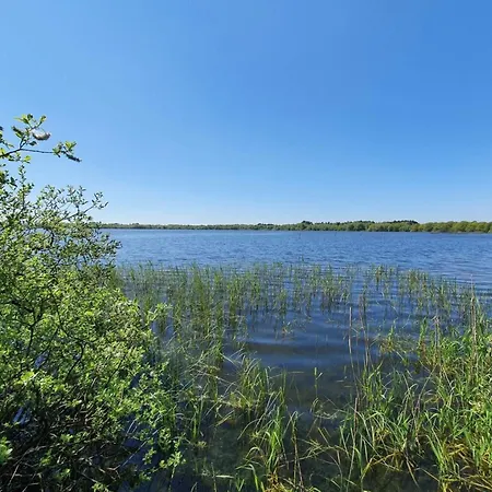 5 Person In Ansager-by Traum * Ansager