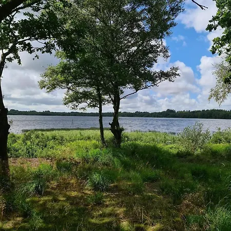 5 Person In Ansager-by Traum Ansager