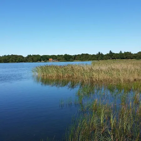 5 Person In Ansager-by Traum