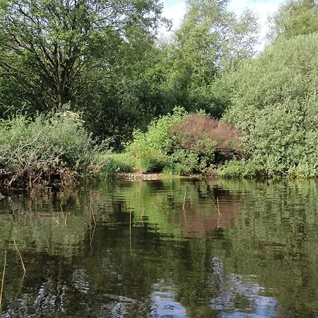 Casa de Férias 5 Person In Ansager-by Traum *