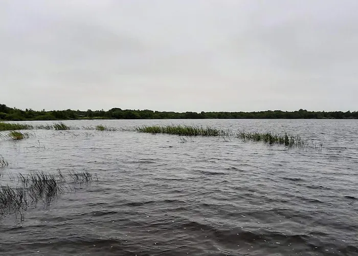 5 Person In Ansager-by Traum Ansager