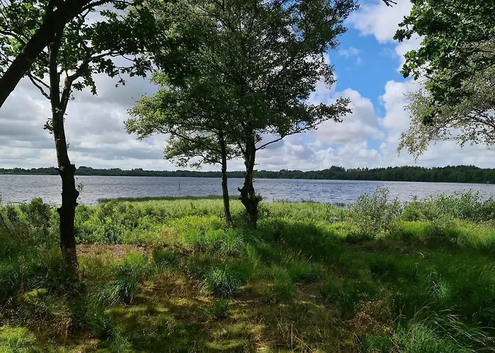 5 Person In Ansager-by Traum Ansager