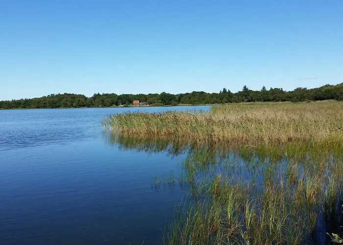 5 Person In Ansager-by Traum