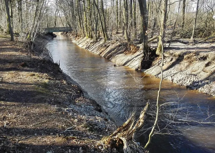 5 Person In Ansager-by Traum * Ansager